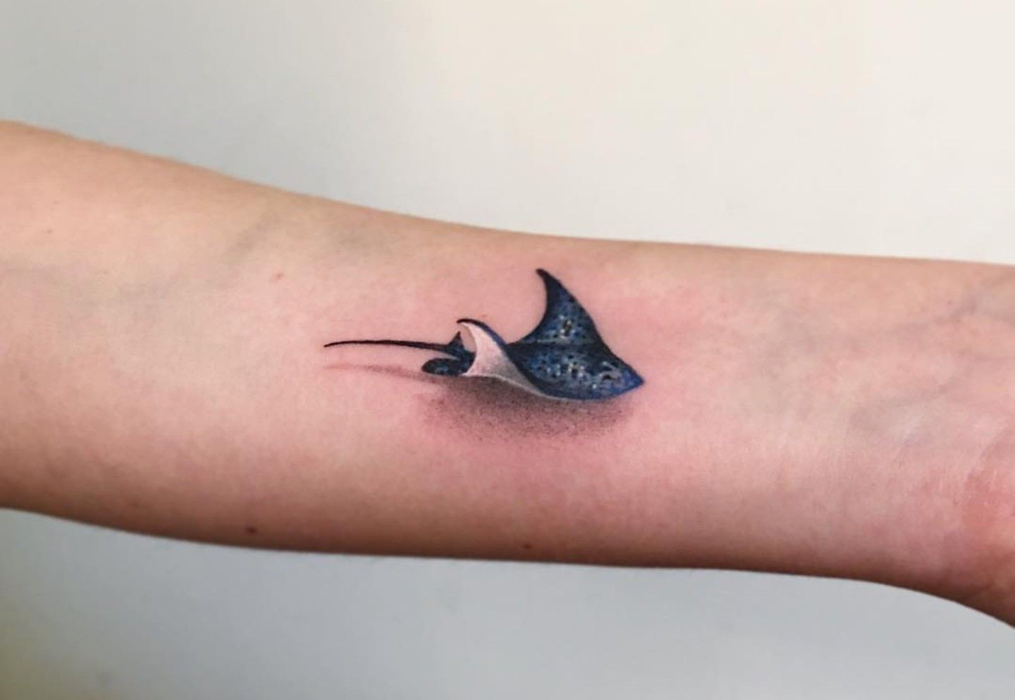 25 Cool Stingray Tatoo Designs Ideas