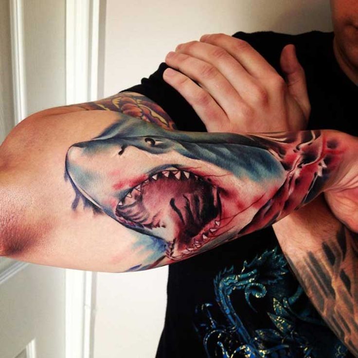 30 Trending Shark Tattoo Designs