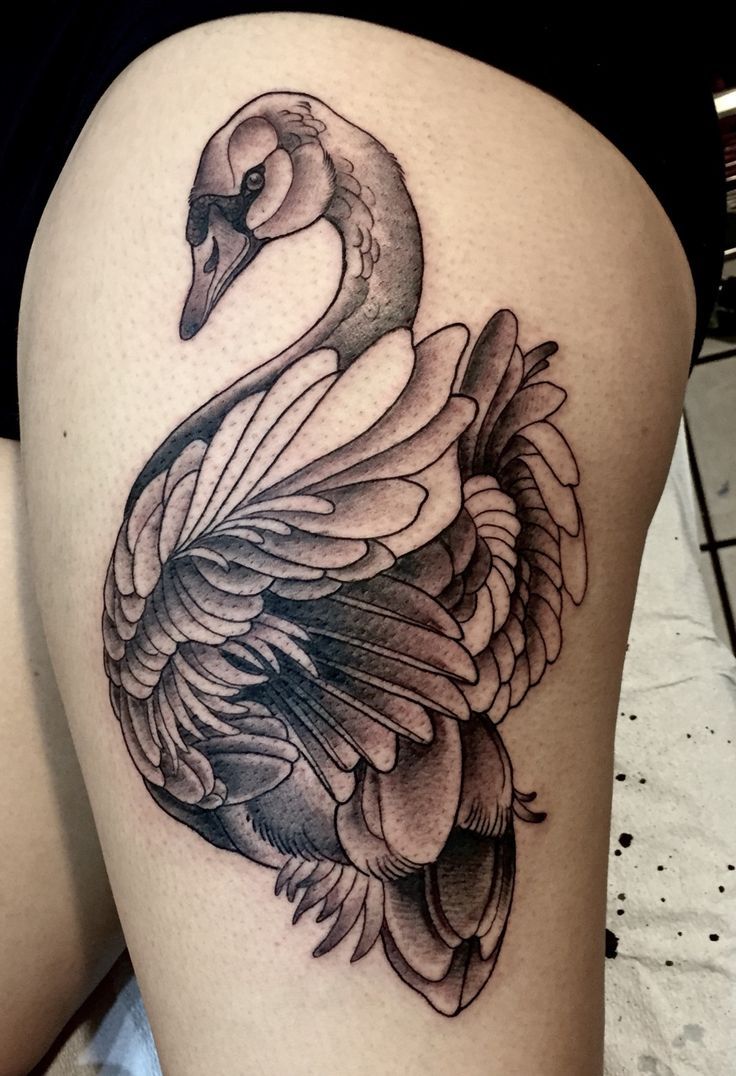 30+ Dazzling and Eye-Catching Swan Tattoo Designs