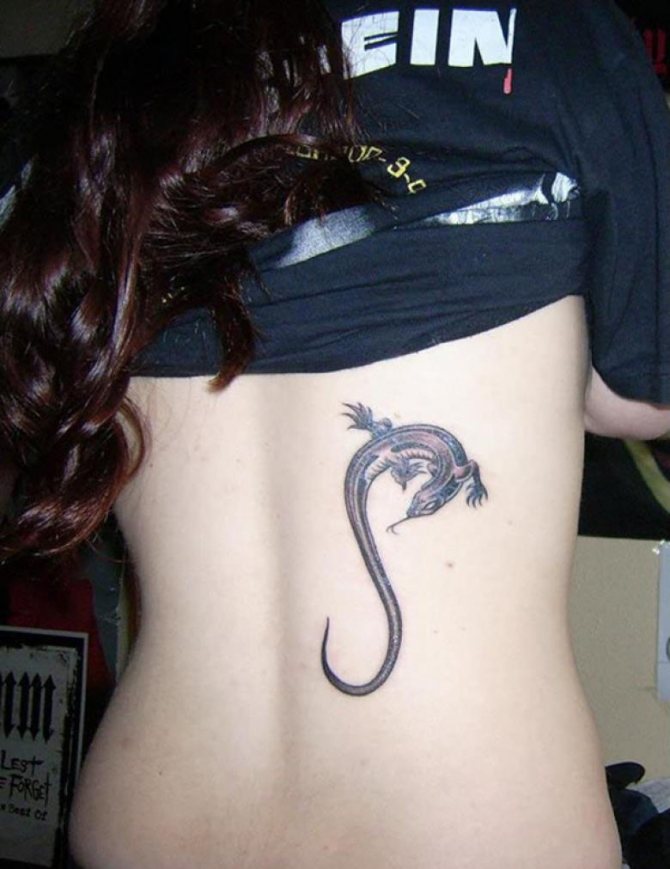 30+ Exotic Lizard Tattoo Designs For Men and Women