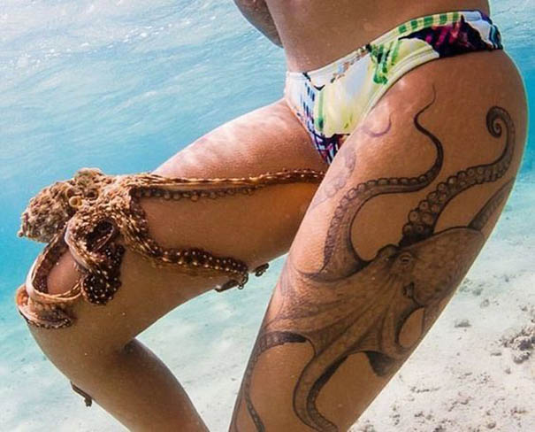 30+Amazing Octopus Tattoo Designs