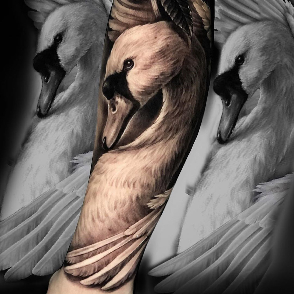 30+ Dazzling and Eye-Catching Swan Tattoo Designs