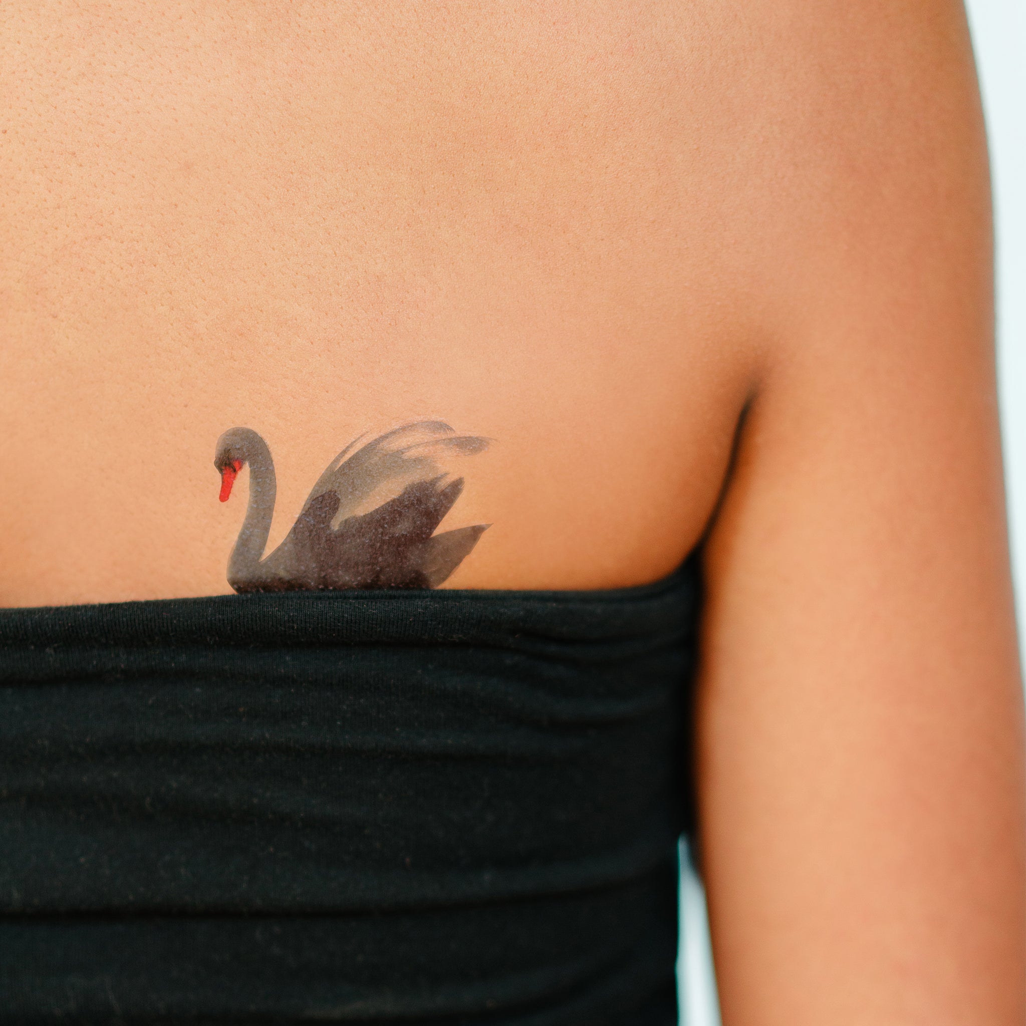 30+ Dazzling and Eye-Catching Swan Tattoo Designs