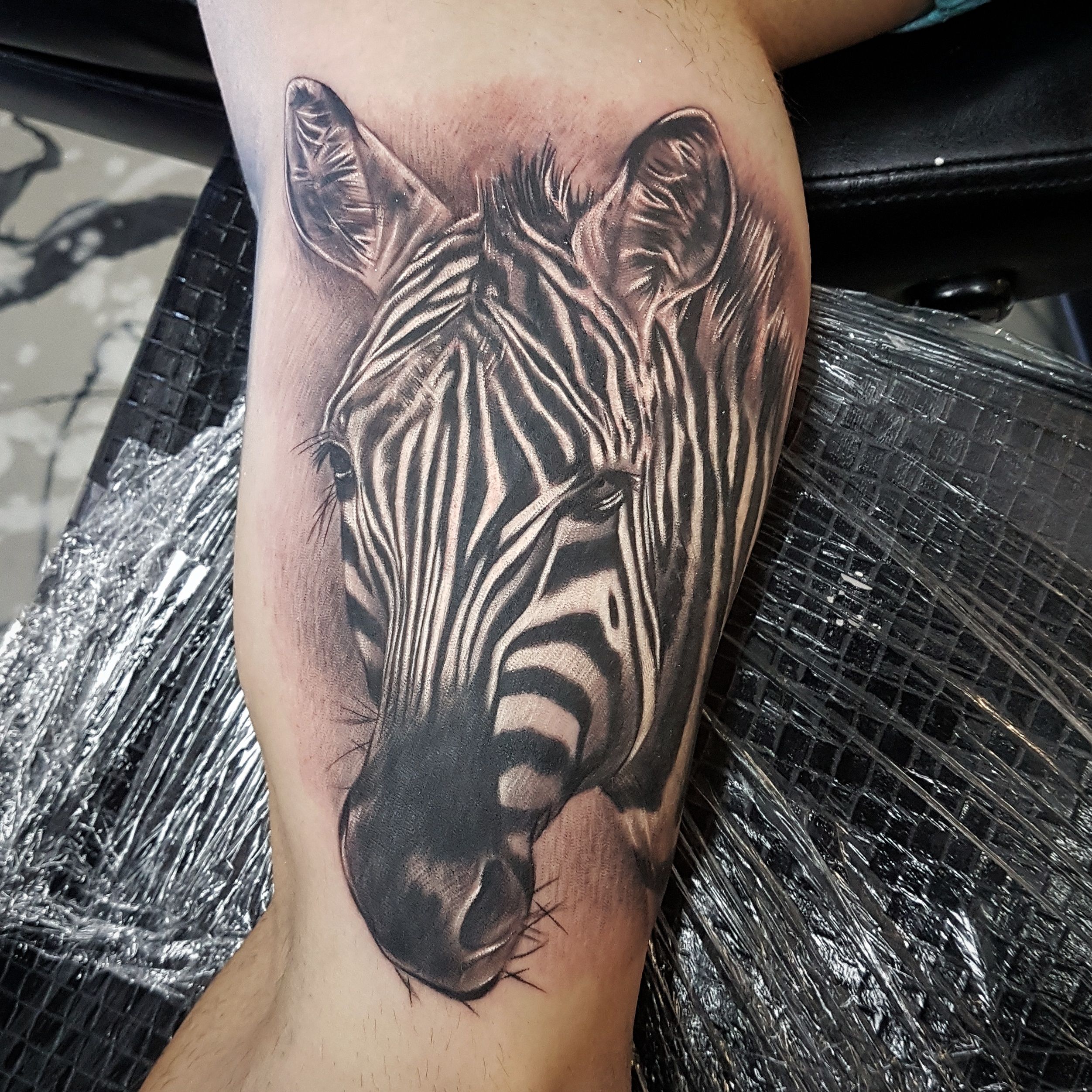 Popular Zebra Tattoo Designs and Meanings
