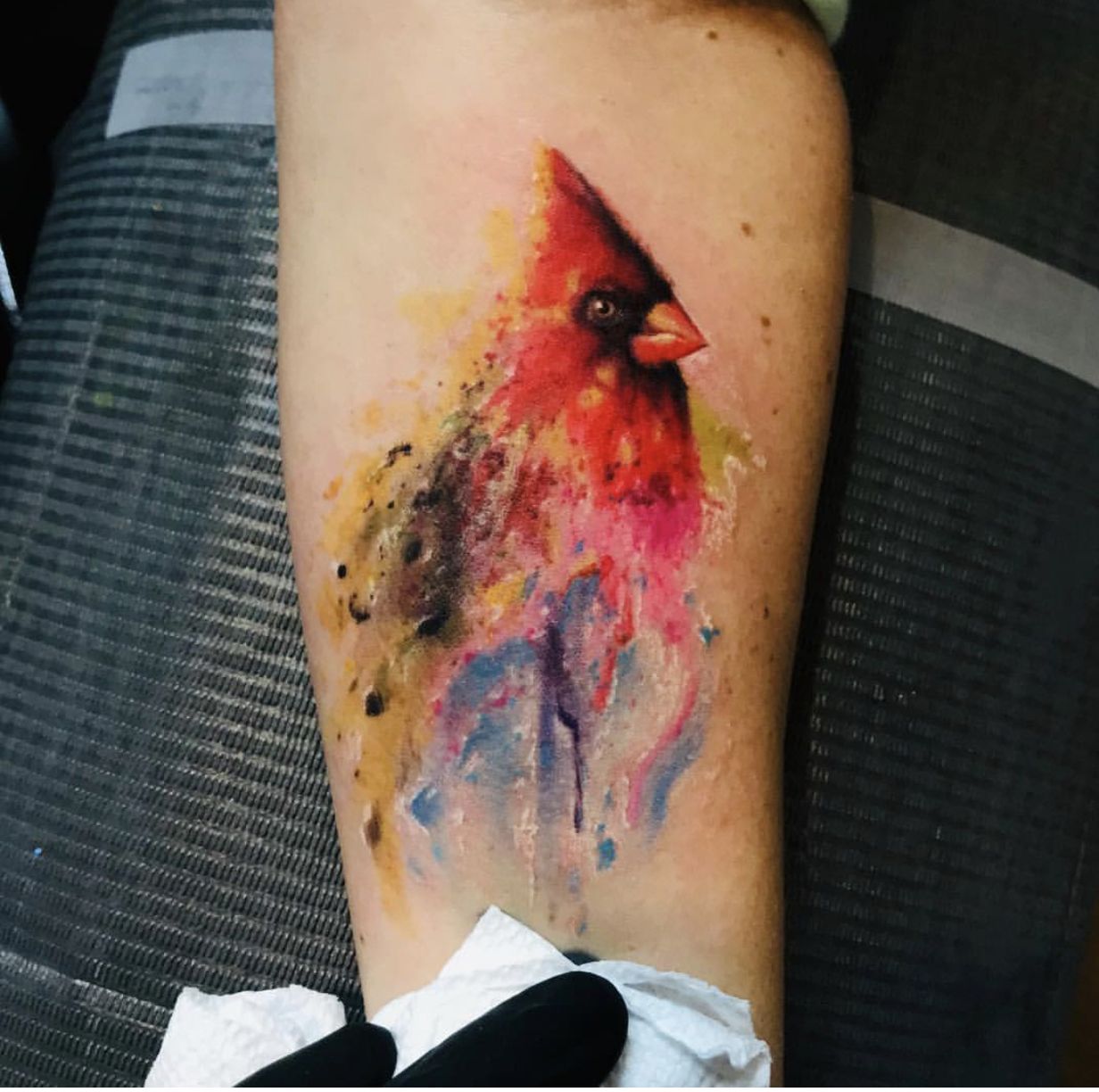 Best Cardinal Tattoo Designs With Meanings